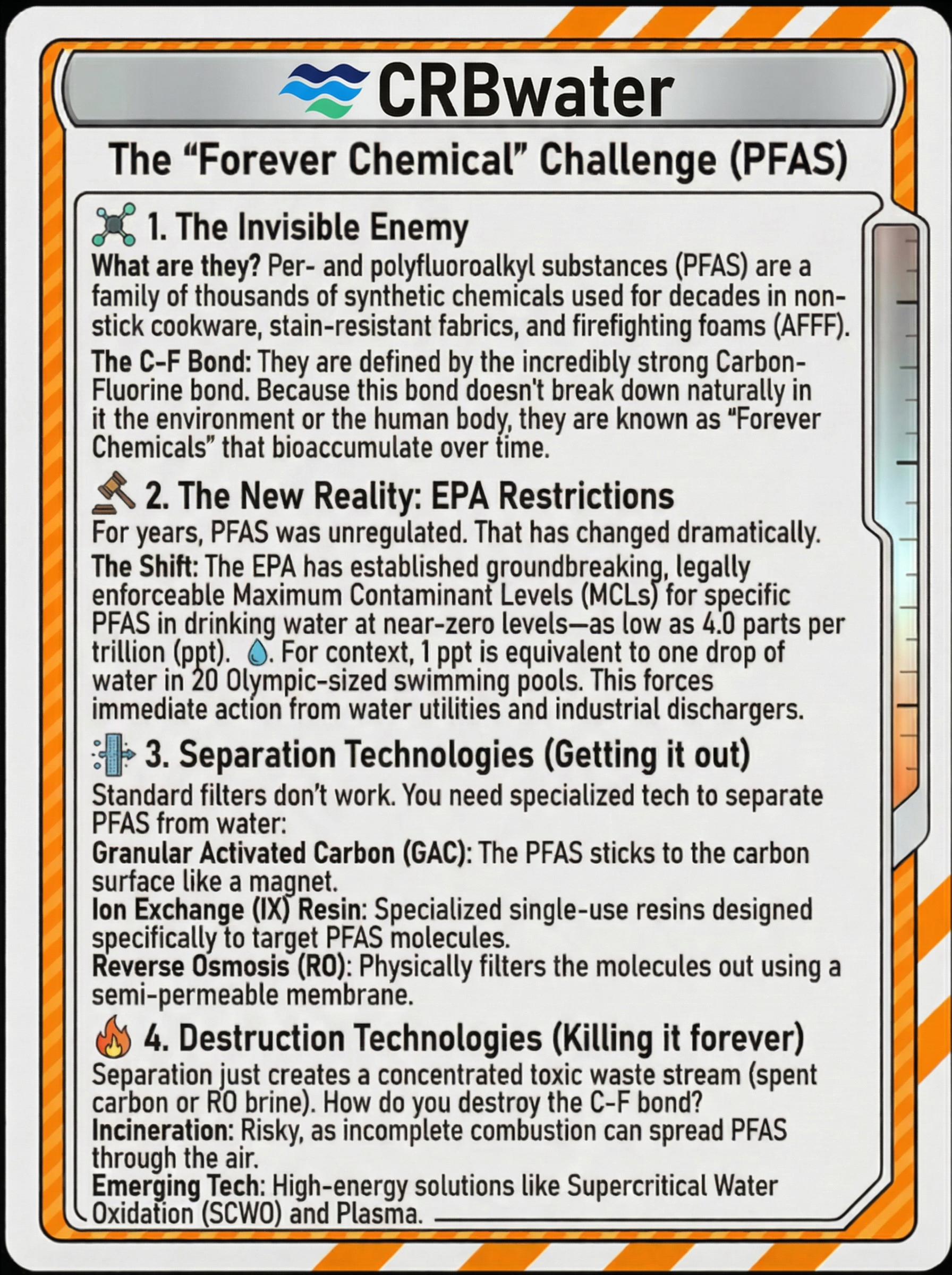 Forever-Bond — Back